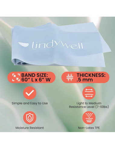 Bandas de Resistencia Lindywell para Ejercicio - Azul, TPE