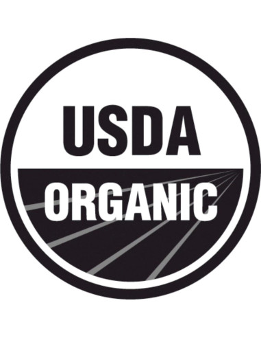 Planta de Bardana Orgánica Arctium Lappa en Maceta 10 cm