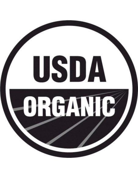 Planta de Bardana Orgánica Arctium Lappa en Maceta 10 cm