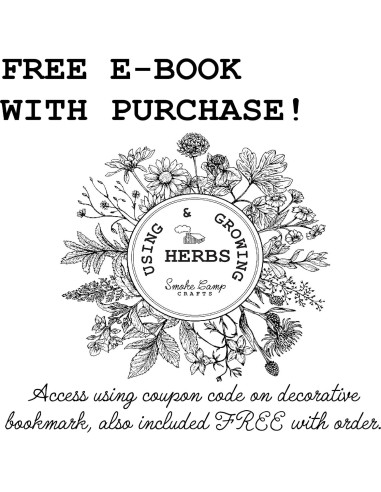 Planta de Bardana Orgánica Arctium Lappa en Maceta 10 cm