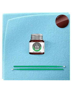 Pintura Automotriz ERA HT Metalizado Canela 7.39 ml Tarro