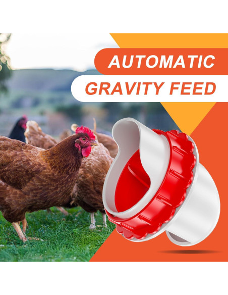 Alimentador de Pollo DIY ZenxyHoC con 4 Puertos Automáticos