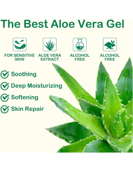 Set de 16 Gel de Aloe Vera Orgánico 30g - Hidratante Facial y Corporal