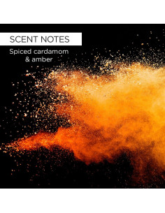 After Shave Calmante para Hombres Whish Club de Lucha 181g 2