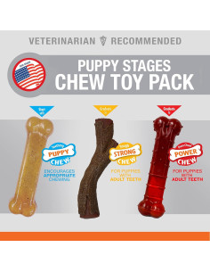 Juego de Juguetes para Masticar Nylabone Puppy Stages - 3 Piezas 2