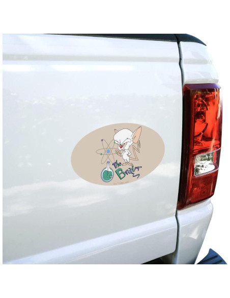 Imán Ovalado Pinky y El Cerebro - Graphics and More - 17.8x10.2cm