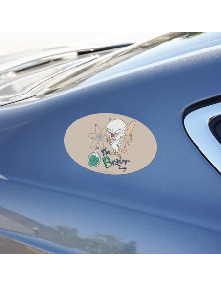 Imán Ovalado Pinky y El Cerebro - Graphics and More - 17.8x10.2cm