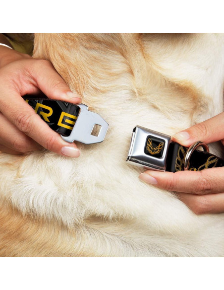 Collar de Perro Buckle-Down Pontiac Firebird 40.64-58.42 cm