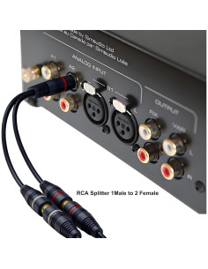 Divisor RCA 1 Macho a 2 Hembras CNHIDEE 0.2M Azul 2