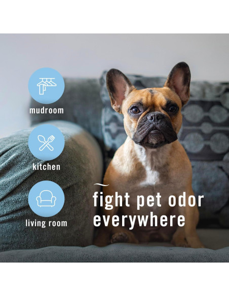 Febreze Ambientador Aerosol Heavy Duty 248g - Lucha Olores Mascotas