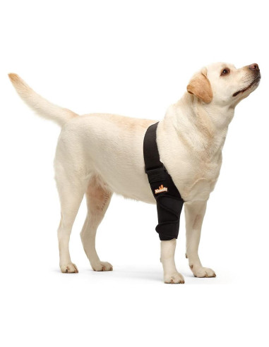Protector de Codo NeoAlly Mediano para Perros - Pierna Derecha