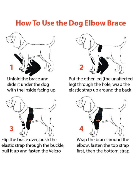 Protector de Codo NeoAlly Mediano para Perros - Pierna Derecha