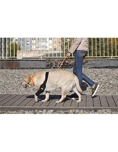 Protector de Codo NeoAlly Mediano para Perros - Pierna Derecha