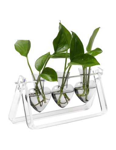 Estación de Propagación de Plantas Clear Plant 28x10x14cm