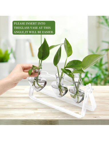 Estación de Propagación de Plantas Clear Plant 28x10x14cm