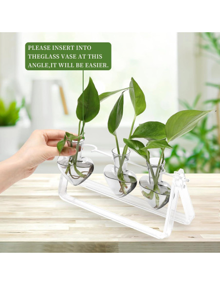 Estación de Propagación de Plantas Clear Plant 28x10x14cm