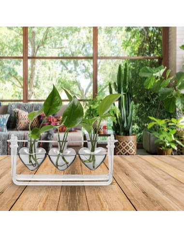 Estación de Propagación de Plantas Clear Plant 28x10x14cm