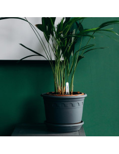 Indicador de Nivel de Agua DOITOOL para Plantas - 4 Pcs 2