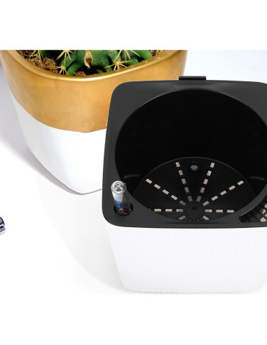 Indicador de Nivel de Agua DOITOOL para Plantas - 4 Pcs