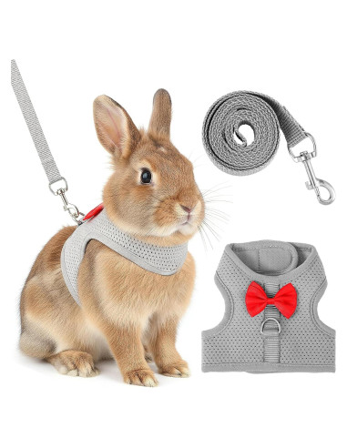 Conjunto Arnés y Correa para Conejo XLIUAX Gris M