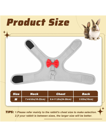 Conjunto Arnés y Correa para Conejo XLIUAX Gris M