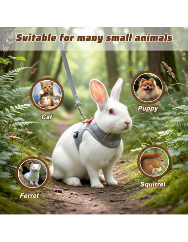 Conjunto Arnés y Correa para Conejo XLIUAX Gris M
