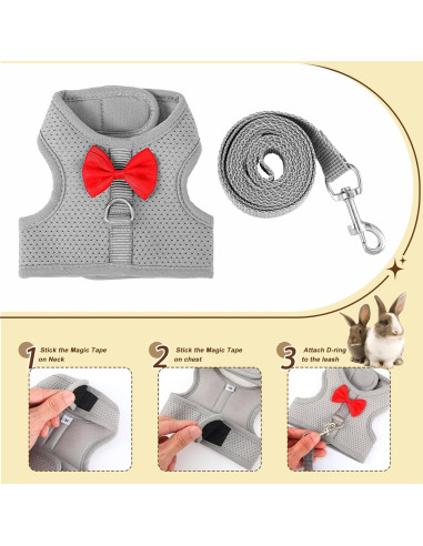 Conjunto Arnés y Correa para Conejo XLIUAX Gris M