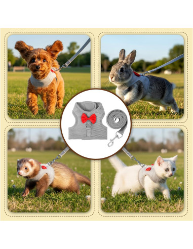 Conjunto Arnés y Correa para Conejo XLIUAX Gris M