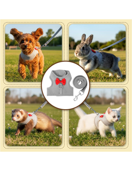 Conjunto Arnés y Correa para Conejo XLIUAX Gris M