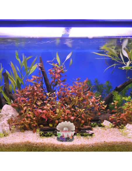 Decoración de Acuario POPETPOP con Burbujeador de Concha