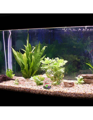 Decoración de Acuario POPETPOP con Burbujeador de Concha