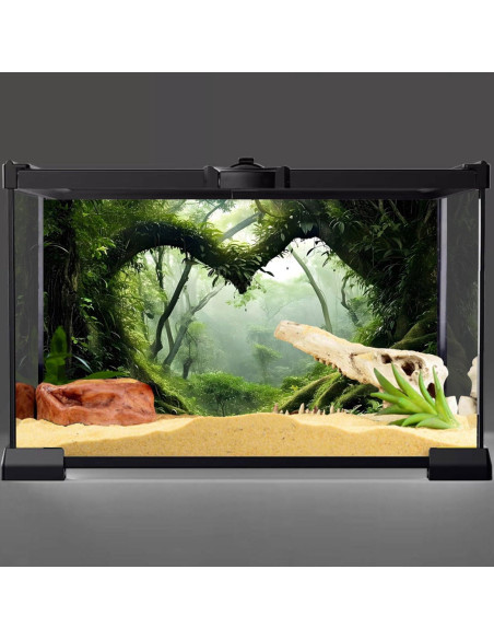 Fondo de Terrario AWERT 76.2x45.7 cm Selva Tropical