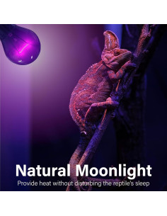 Bombillas de Calor Nocturna 100W Lustaled para Reptiles - 2 Paquete 2