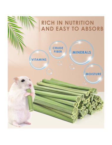 Bissap Palitos Masticables de Conejo 50 PCS - Snack Orgánico Natural