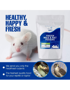 Combo de 4 Ratas Congeladas Jumbo MiceDirect para Serpientes 3.25 kg 2
