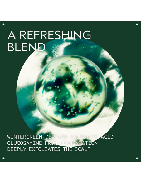 Exfoliante Cuero Cabelludo Aveda 25 ml | Ácido Salicílico Natural