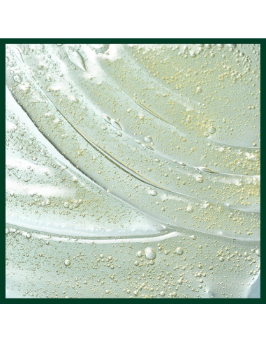 Exfoliante Cuero Cabelludo Aveda 25 ml | Ácido Salicílico Natural