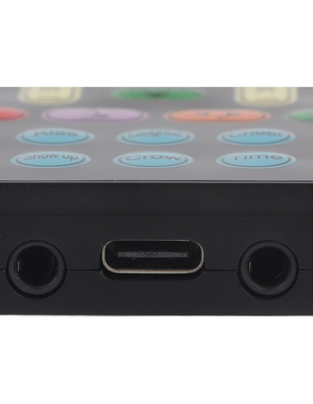 Cambiador de Voz Portátil Dpofirs con 8 Efectos de Sonido