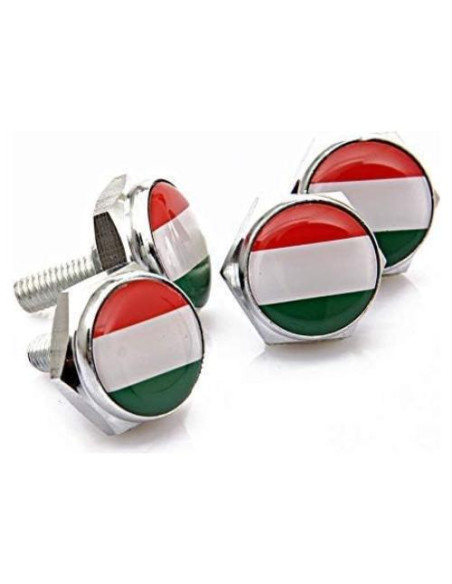 Set de Tornillos Antirrobo Cromados BENBW para Placas de Matrícula