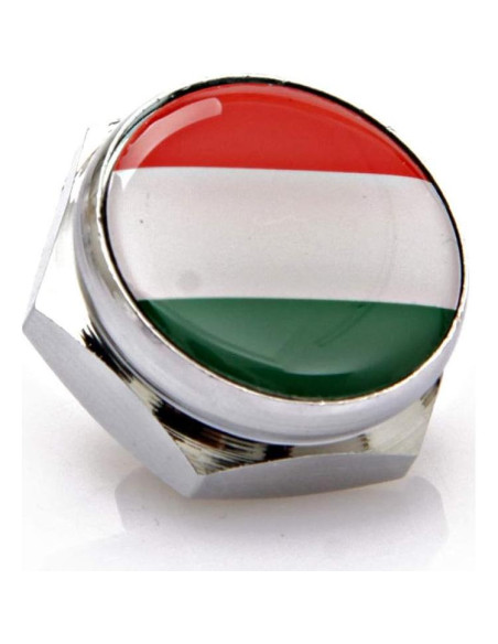 Set de Tornillos Antirrobo Cromados BENBW para Placas de Matrícula