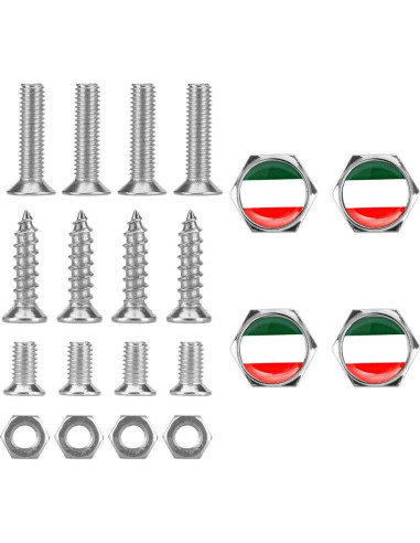 Set de Tornillos Antirrobo Cromados BENBW para Placas de Matrícula