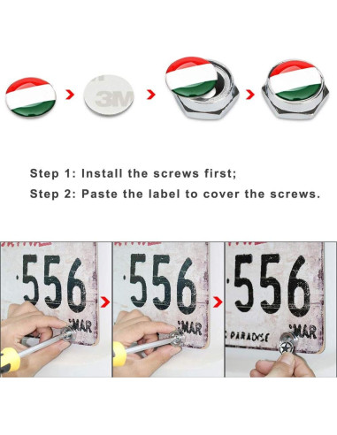 Set de Tornillos Antirrobo Cromados BENBW para Placas de Matrícula