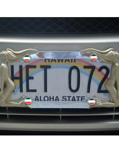 Set de Tornillos Antirrobo Cromados BENBW para Placas de Matrícula