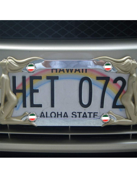 Set de Tornillos Antirrobo Cromados BENBW para Placas de Matrícula