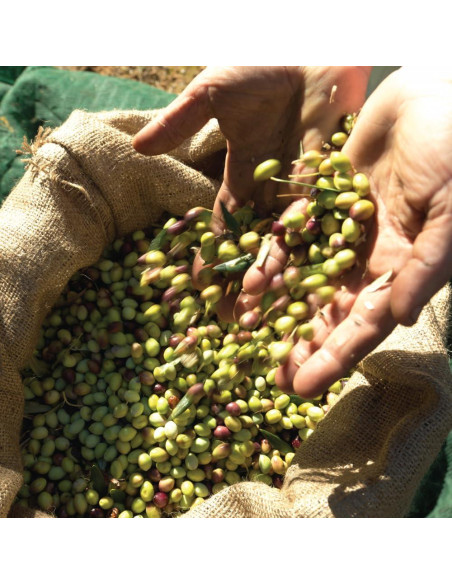 Aceite de Oliva Virgen Extra ILIADA Kalamata 3L - Monovarietal Koroneiki