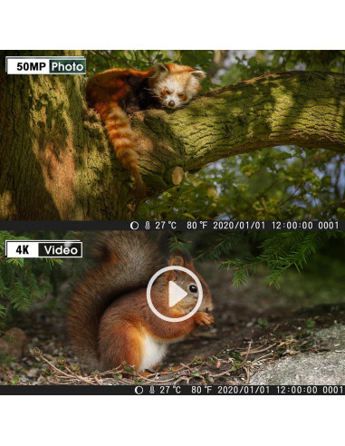 Cámara de sendero WiFi CAMVILD WiFi940Pro 36MP 4K IP66