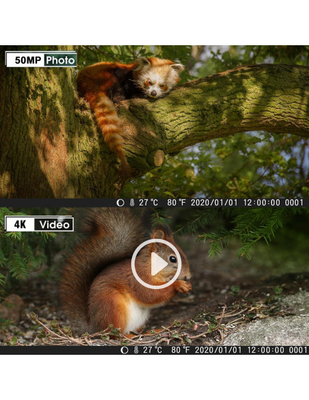 Cámara de sendero WiFi CAMVILD WiFi940Pro 36MP 4K IP66