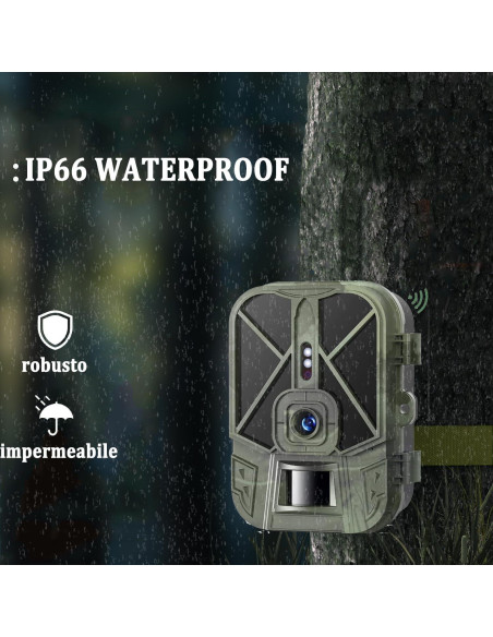 Cámara de sendero WiFi CAMVILD WiFi940Pro 36MP 4K IP66