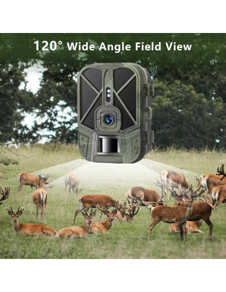 Cámara de sendero WiFi CAMVILD WiFi940Pro 36MP 4K IP66