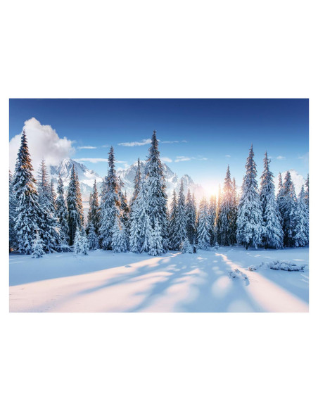 Fondo de Fotografía Navidad DePhoto 2.1x1.5m Bosque Nieve